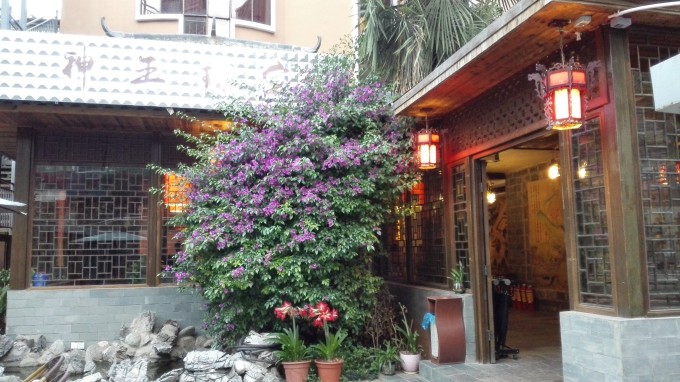 苏州青旅官网最新报价揭秘，小巷深处的特色住宿惊喜