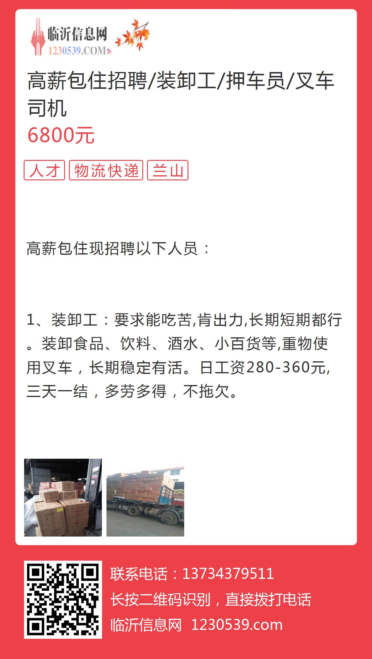 沈阳市最新司机招聘启事，职业新起点，启程未来！