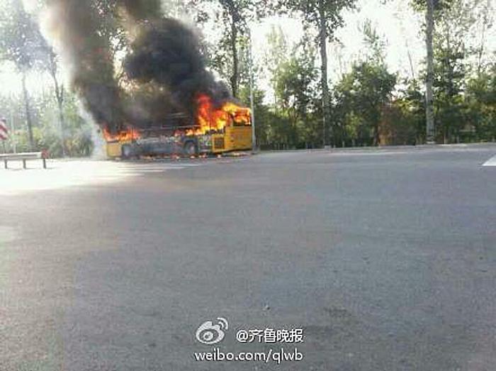 山东烧死人最新消息，自然美景的治愈之旅关注更新