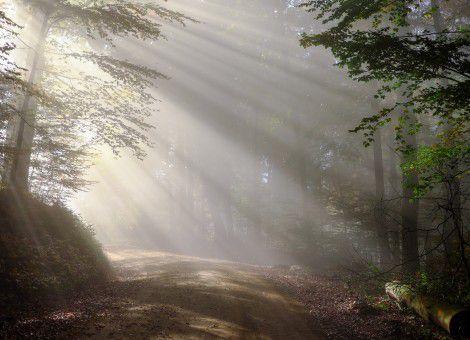 探索未知秘境，追寻心中的宁静之地——2244D最新地址之旅揭秘