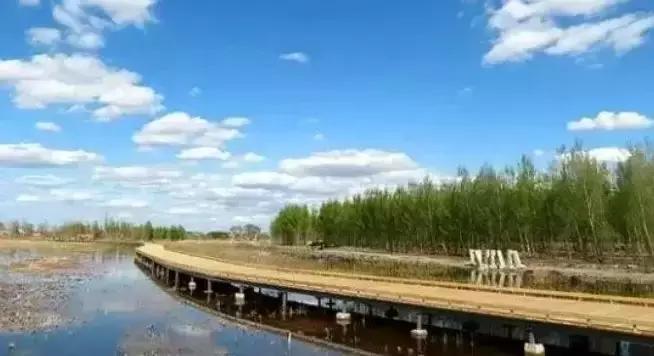 法库棚改最新动态，与自然美景的浪漫邂逅
