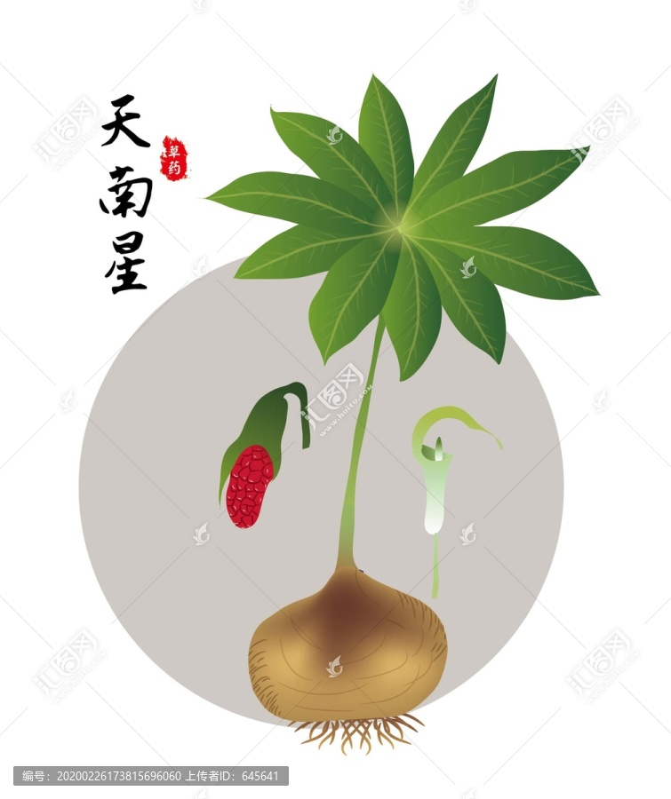 最新南星收购价格及详细步骤指南