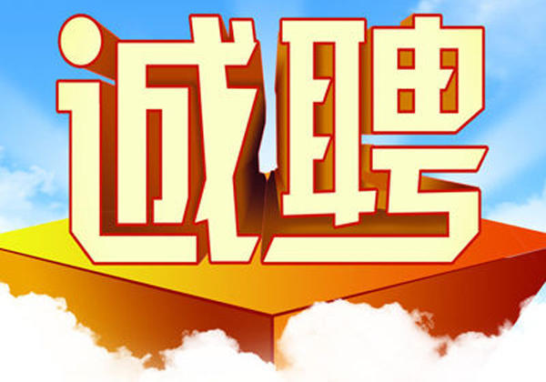 如东掘港镇最新招聘，友情、机遇与家的温馨交汇点