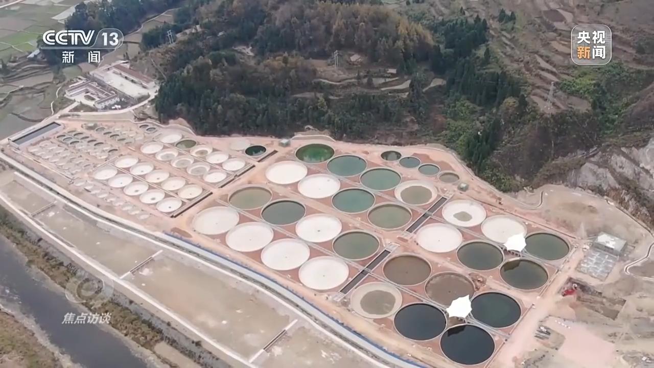 街头篮球最新符号引领潮流，时尚风潮再起！
