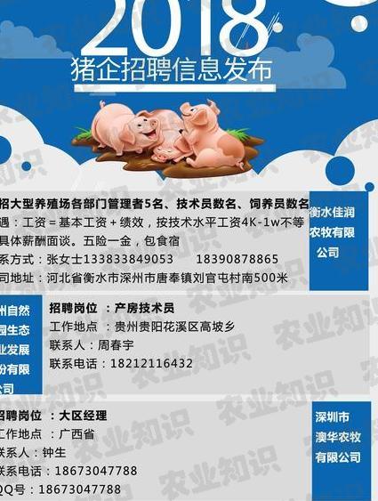 饲料行业最新招聘现象探析，观点阐述与招聘动态更新